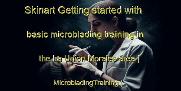 Skinart Getting started with basic microblading training in the La Union Morales area | MicrobladingTraining | MicrobladingClasses | SkinartTraining-Mexico